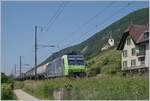 Die BLS Re 485 014 mit einem Güterzug auf der Fahrt in Richtung Bie/Bienne bei Ligerz.