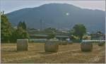 Sommer bei der CEV; im Hintergrund der Les Pleiades, Ziel und Ausgangspunkt der Z�ge..