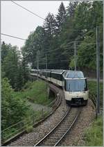 Kurz nach Les Avants ist dieser MOB Zug auf der Fahrt nach Montreux.