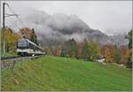 Ein MOB  Alpina  Zug hat Les Avants verlassen und fährt nun in Richtung Monterux.