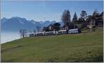 Die MOB Ge 4/4 8001 ist bei Les Avants mit ihrem GoldenPass Express GPX auf dem Weg von Montreux nach Interlaken Ost.
