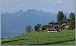 Kurz vor Les Avants ist der MVR Regionalzug von Montreux kommend schon fast am Ziel seiner Fahrt. 

15. Juni 2025