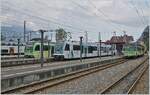 Der Bahnhof von Aigle mit TPC Zügen in alle Richtungen: Der TPC Beh 2/6 545 wird nach Champéry fahren, der neue TPC ASD ABe 4/8 473  Glacier 3000  nach Les Diablerets und der A-L Pendelzug
