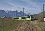 Der TPC AOMC/ASD Beh 2/6 ist als Regionalzug R71 436 oberhalb von Aigle auf dem Weg nach Les Diablerets. 

9. Februar 2026