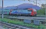 Die SBB Cargo International 193 475 wartet mit einer RoLa in Domodossola auf die Weiterfahrt nach Novara. Zum Fahrplanwechsel 2025/2026 wird die Verbindung eingestellt, da viel zu zahlreichen Baumassnahmen zur Verbesserung des Güterverkehrs diesen zur Zeit so stark beeinträchtigen, dass eine vernünftige Betriebsführung nicht mehr möglich ist. 

31. Okt. 2024