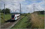 Der SBB LEX RABe 522 213 ist als SL5 von Genève nach La Plaine bei Satigny unterwegs.