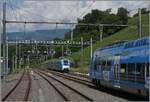 In La Plaine begegnen sich der TER nach Gen�ve (im Hintergrund) und der nach Lyon fahrende TER, welcher die durch eine Baustelle eispurige Strecke in Richtung Satigny dem entgegenkommenden Zug frei gibt. 

1. Juni 2026