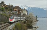 Ein SBB ETR 610 auf dem Weg Richtung Lausanne bei St-Saphorin.
