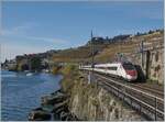 Ein SBB RABe 503/ETR 610  Pinocchio  ist zwischen Rivaz und St Saphorin als EC von Genève nach Milano unterwegs. 

12. Nov. 2024
