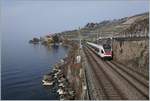 Ein SBB RABe 523 auf der Fahrt nach Aigle zwischen Rivaz und St-Saphorin.