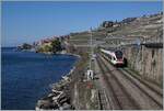 Ein SBB Flirt auf dem Weg nach Aigle bei Rivaz.