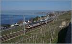 Ein SBB RABe 511 ist kurz nach Cully auf dem Weg nach Annemasse.