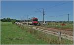 In Frankreich, zwischen La Rivière-Drugeon und Ste-Colombe ist dieser SBB NPZ als RE 18123 auf der Fahrt Richtung Schweiz.