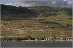 Klein, aber mitten im Bild ist ein Domino-Zug auf der Train des Vignes Strecke (Weinbergstrecke) oberhalb vom nahen St-Saphorin zu erkennen.