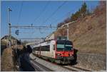 Auf neuen Gleisen fährt ein SBB RBDe 560 zwischen Bossières und Grandvaux in Richtung Palézieux.