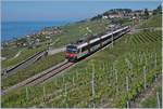 Ein SBB RBDe 560  Domino  ist auf der Train des Vignes stre3cke bei Chexbres unterwegs.