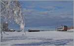 Zwischen Sales und Vaulruz konnte in einer herrlichen Winterlandschaft dieser SBB RBDe 560 Domino fotografiert werden.