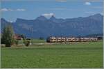 Die beiden TPF RBDe 560 245 und 235 Domino Züge in der  Chocolat Express  Werbung sind als RE 3825 von Broc-Farbique nach Bern unterwegs.