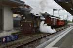 Uferdampffahrten mit der MThB 3.