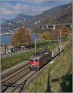 Die SBB Re 4/4 II 11243 (Re 420 243-8 )  Smile  erreicht mit ihrem Güterzug Villeneuve.
