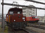 Depotfest Olten 2023. 

Rangiertraktor Te III 177. August 2023.