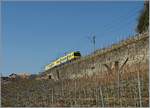 Der  Train des Vignes  in seinem Element zwischen Himmel und Erde bei Chexbres.