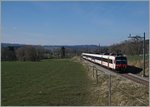 Eine S21 von Payerne kommend erreicht in Kürze Palézieux.