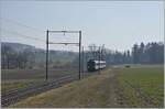 Ein SBB Domino ist zwischen Courtepin und Cressier FR auf dem Weg in Richtung Murten und passiert hier die typischen GMF Fahrleitungsmaste.
