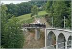 Festival Suisse de la vapeur (Schweizer Dampffestival 2025) - Die SEG G 2x 2/2 105 mit einen Dampfzug auf der Fahrt von Blonay nach Chaulin auf dem Baye de Clarens Viadukt unterwegs.