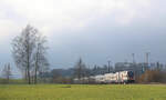 An der Strecke Zug - Zürich via Affoltern am Albis: Zug 511 011 verlässt Mettmenstetten Richtung Kantonsgrenze Zürich/Zug bei Knonau.