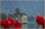 Frühling am Château de Chillon  (07.04.2014)  