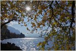 Herbst am Château de Chillon  (03.11.2016)  