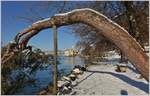 Winter beim Château de Chillon  (16.01.2017)  