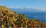 W�hrend im Lavaux der Herbst eingezogen ist,zeigt der Winter in den Bergen das er nicht mehr in allzu grosser Ferne ist.