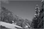 Ein Wintertraum in S/W.
