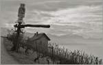 Weinland Lavaux.