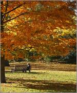 Ruhepause in den letzten w�rmenden Sonnenstrahlen des Herbstes.