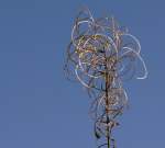 Nat�rliche K�nstlerimpressionen.