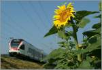 Endlich Sommer!  23.7.13