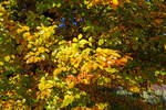 Nochmal im Detail...