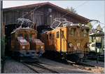 50 Jahre Blonay Chamby - MEGA BERNINA FESTIVAL: Beim Bernina Festival gab es nach vielen Jahrzeinten nicht nur eine  Wiedersehen  der Bernina Bahn (BB) Ge 4/4 81 (ex Ge 6/6 81 bzw.